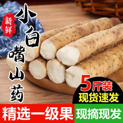 小白嘴，铁棍山药，全年大量现货供应，代办代加工，全国发货