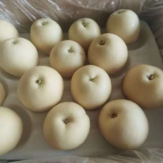 河北皇冠梨，皇冠梨，产地直发