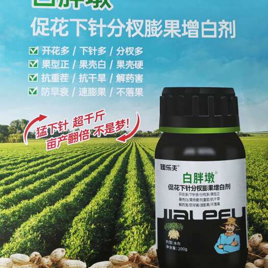 黑山县使用白胖墩—花生多花多针多果