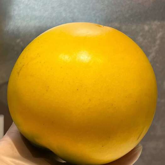 海南黄晶果   顺丰空运