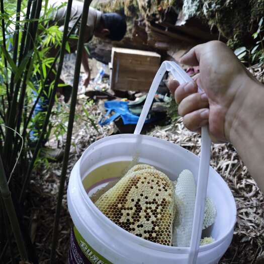 龙南野生蜂蜜