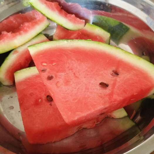 中宁县宁夏西瓜