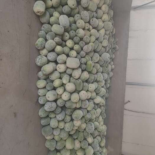 通许县开封通许串玲冬瓜&白皮冬瓜2—4斤