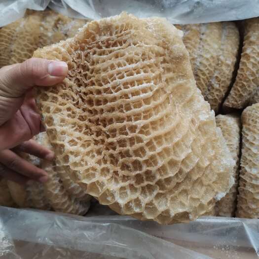 郑州金钱肚（精修）