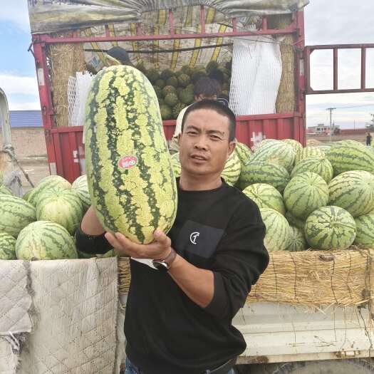 中宁县硒砂瓜
