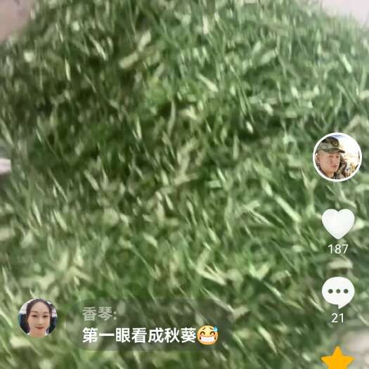 遂溪县干青椒