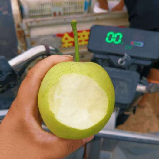 虞城县皇冠梨