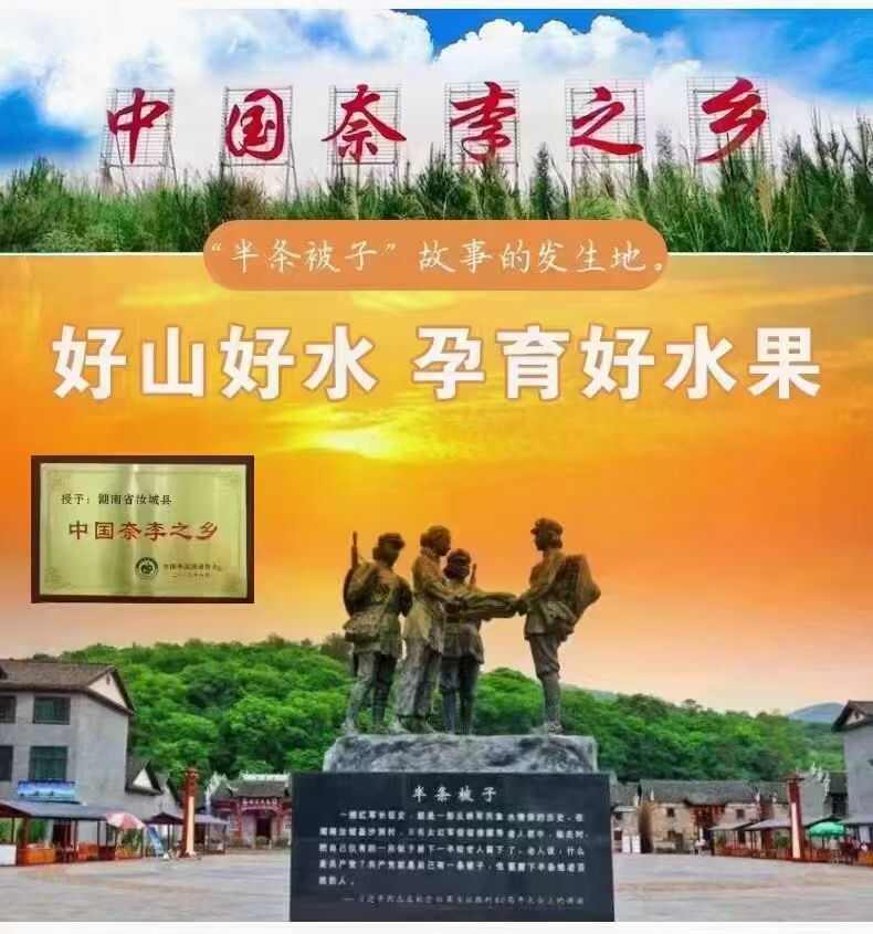 樂鮮果園基地