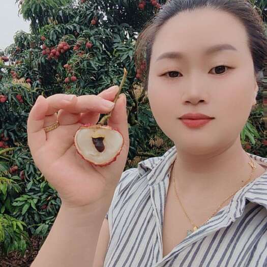 漳浦县蜜丁香荔枝果实呈心脏形，果皮鲜红，果核小如蚕豆