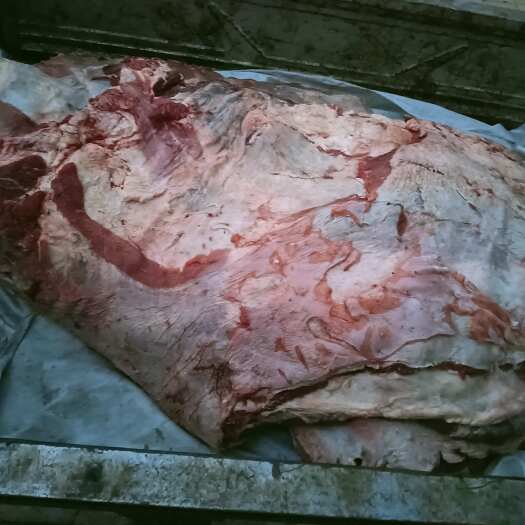 庆云县国产满肉牛排，速冻鲜货