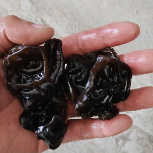 东宁市东北黑木耳水发木耳大筋水发货东北黑木耳