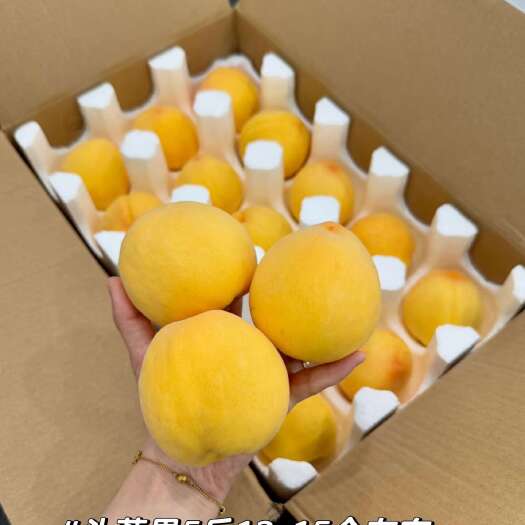 崇义县江西赣州黄桃批发价，自提