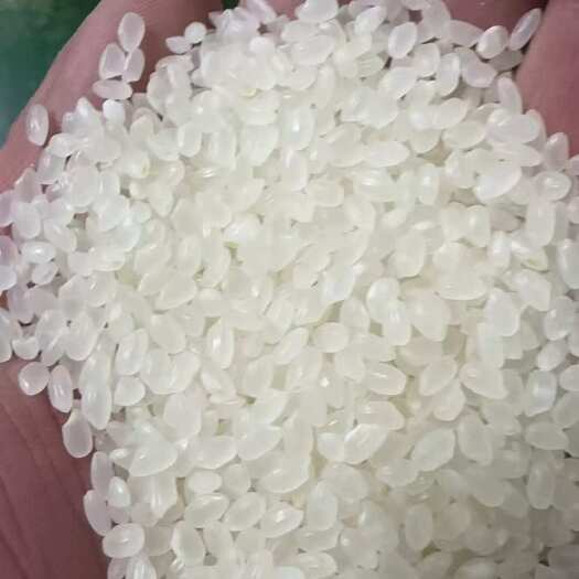东北珍珠米 批拉批结 现货 按量定价 量大优惠 国补