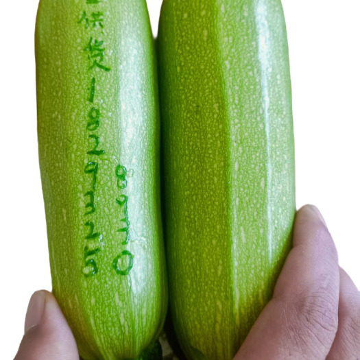 定西高原夏菜长期供货，货品足，质量好