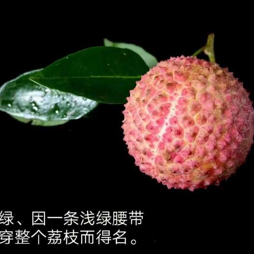 合江县酒品泸州好，荔是合江香