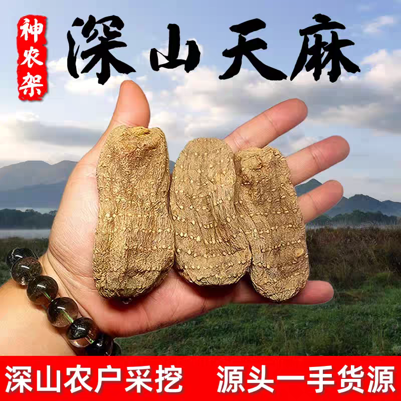 阿甘種天麻