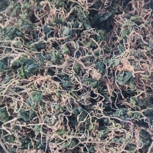 保山青天葵小叶干货云南干净包邮