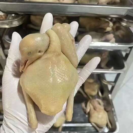 佛山无骨乳鸽，新鲜宰杀，规格齐全，价格优惠，质量有保障