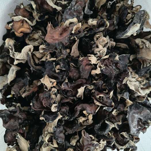 鱼台县毛木耳三茬