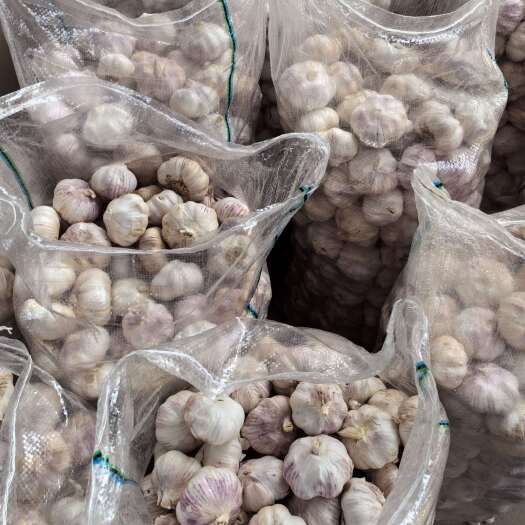 中牟县中牟精品大蒜