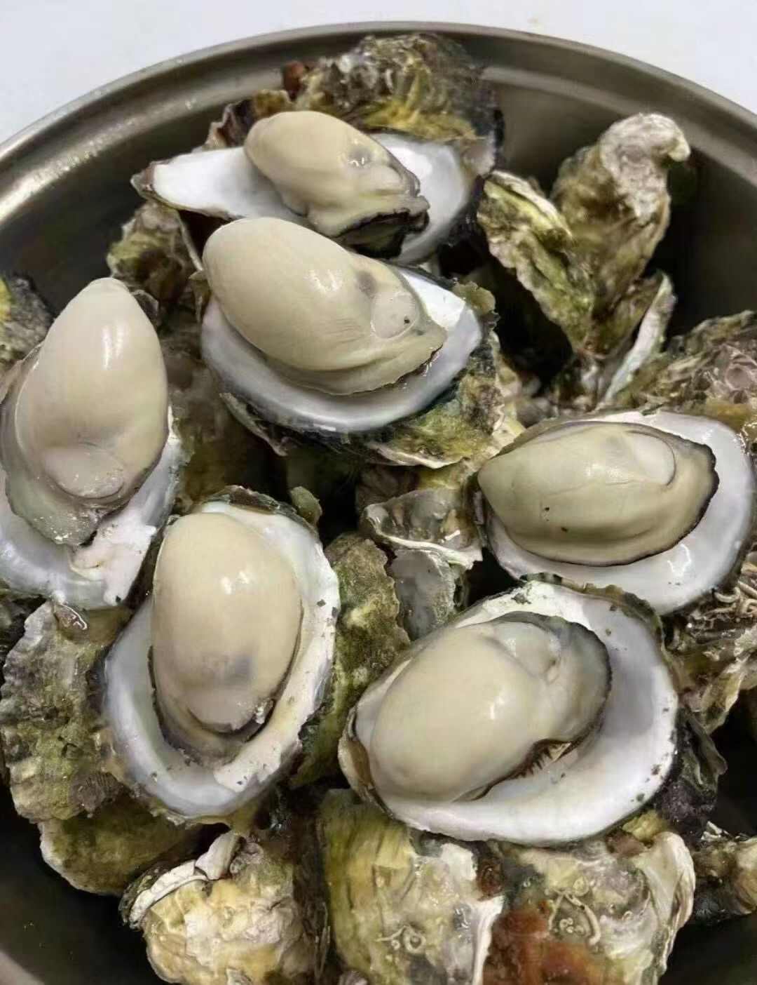 蠔氏生鮮