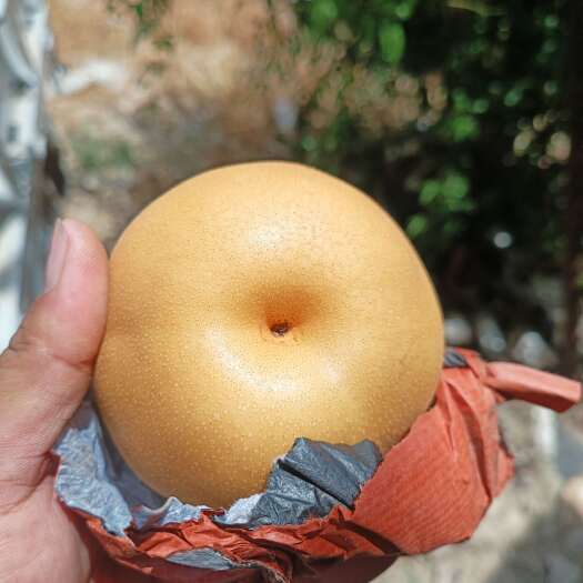 睢宁县精品丰水梨