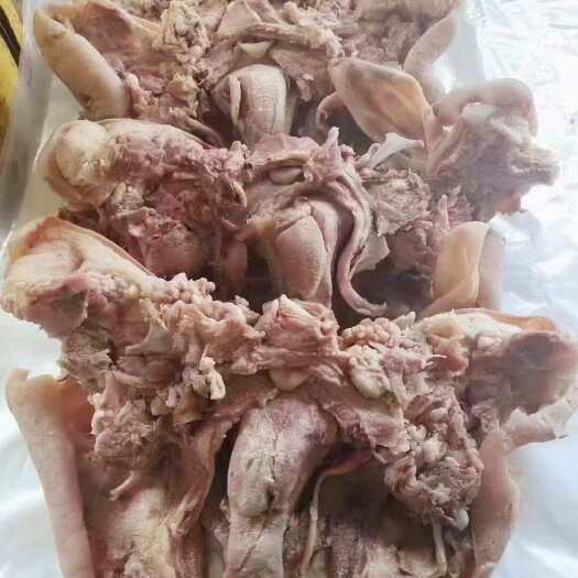 临沂熟，大白羊脸国产新日期大量现货