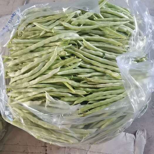 松原主营各类豆角，新鲜白架豆，