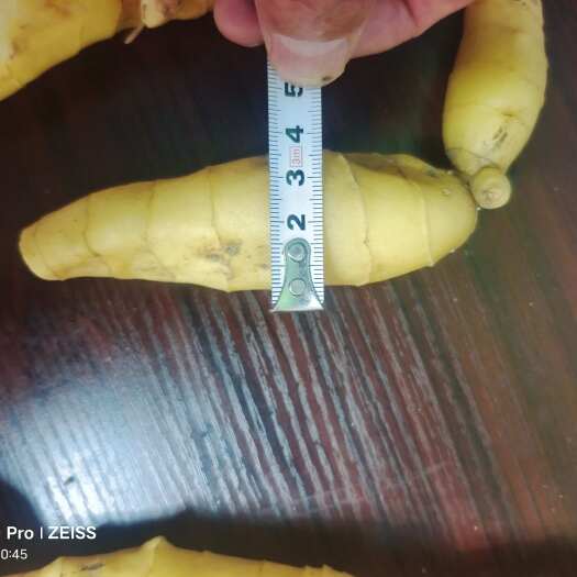 拉萨西藏鸡头黄精