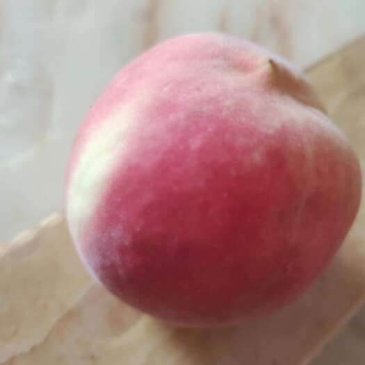 沂水县秋桃