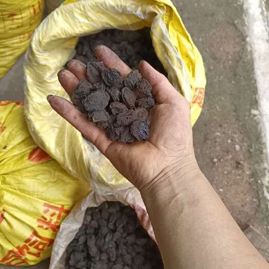 大邑县乌梅，农家柴火炕干，火候合适，没炕焦，产自药材之乡斜源。