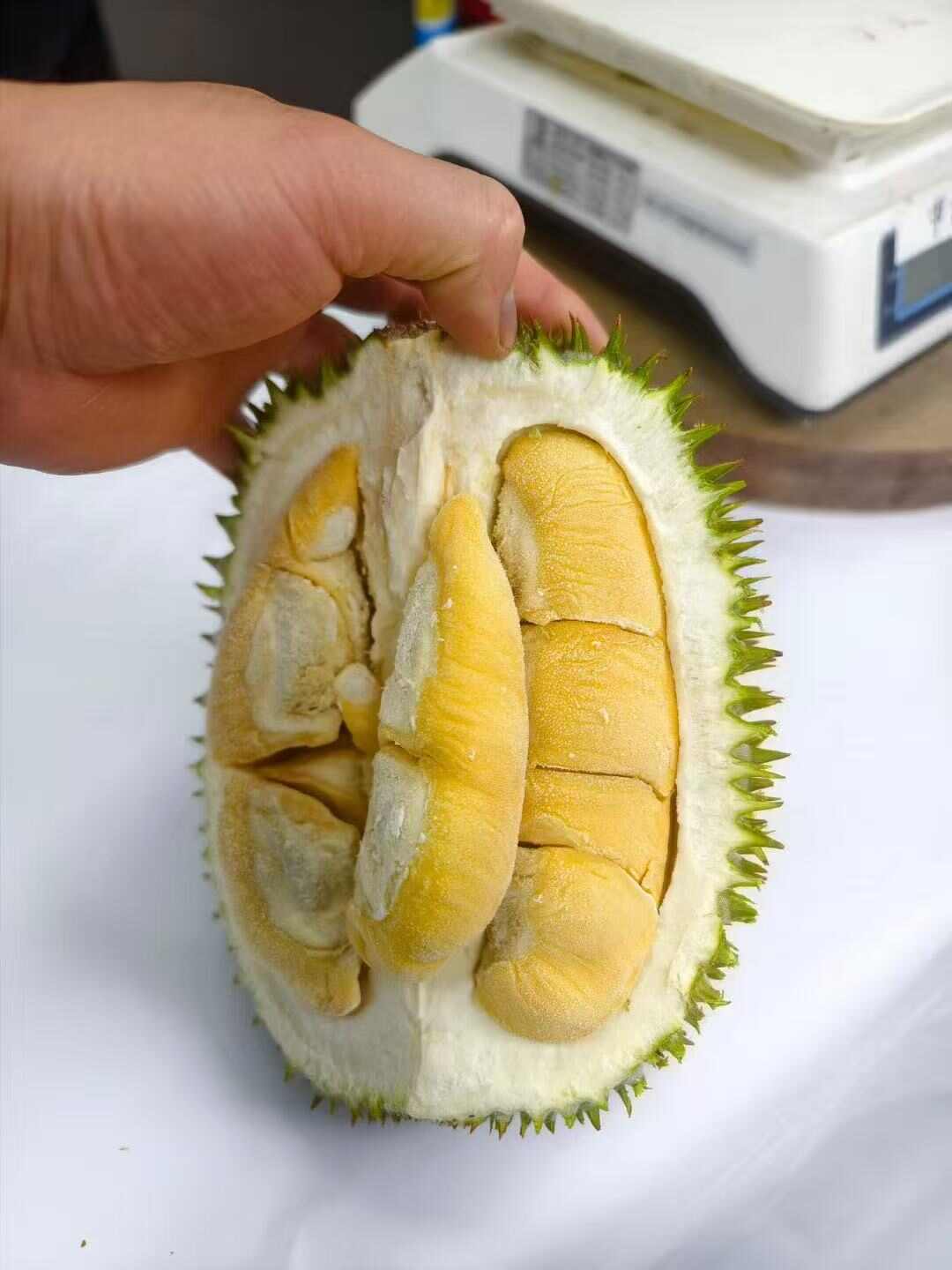 猫山王榴莲液氮整果 D197