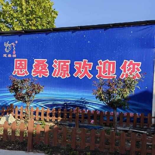 镇平县纯桑葚汁发酵提取原液