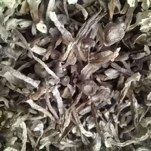 精品鹿茸菇中条 新货食用菌 商超电商蘑菇干货土特产 干度好