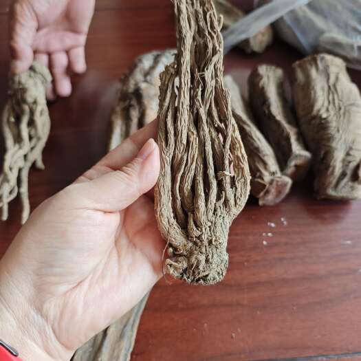 互助县大葱   甘兰圆   当归  黄芪  洋葱