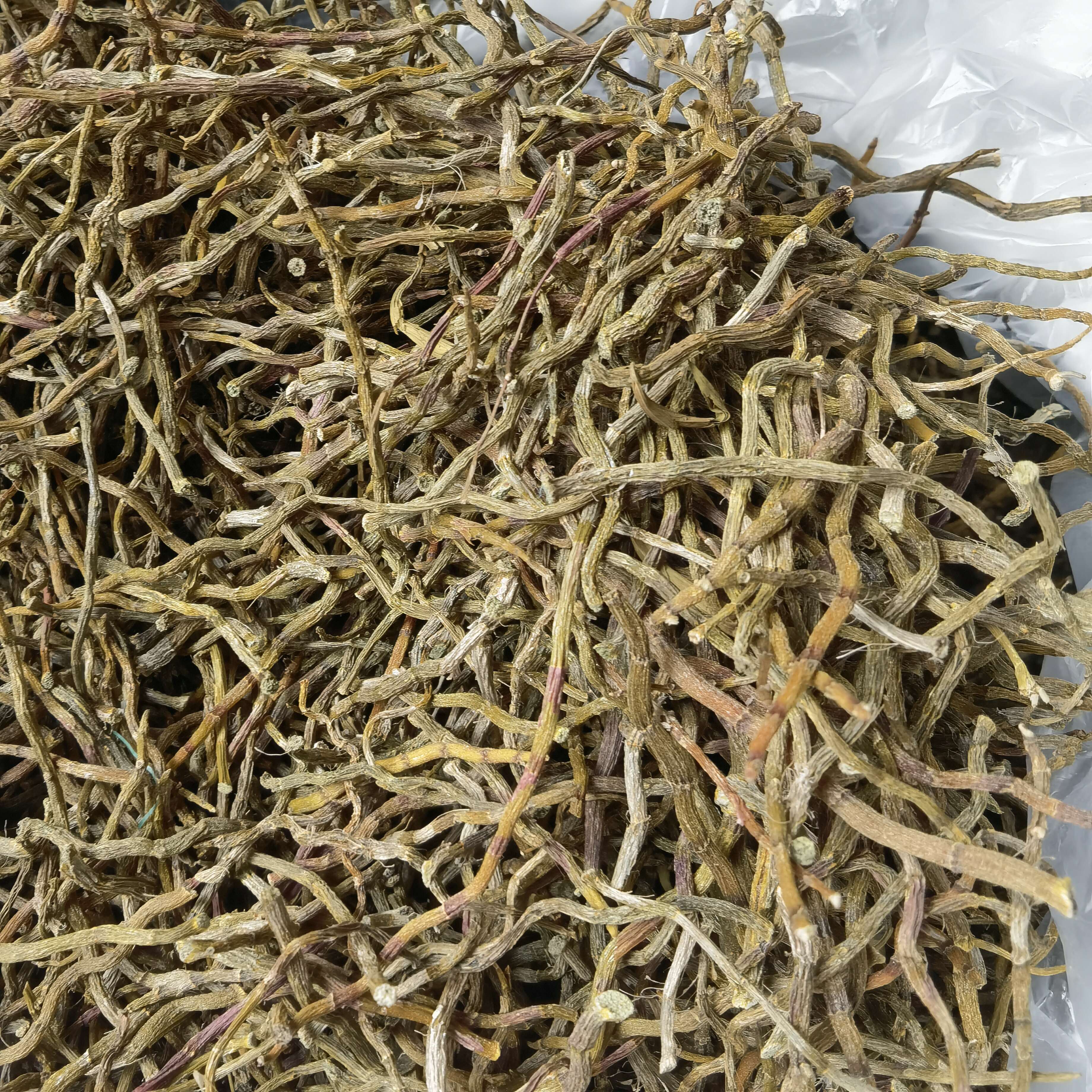 龙陵县铁皮石斛中药材 滋补养生 云南基地直发 产地优选品质稳定