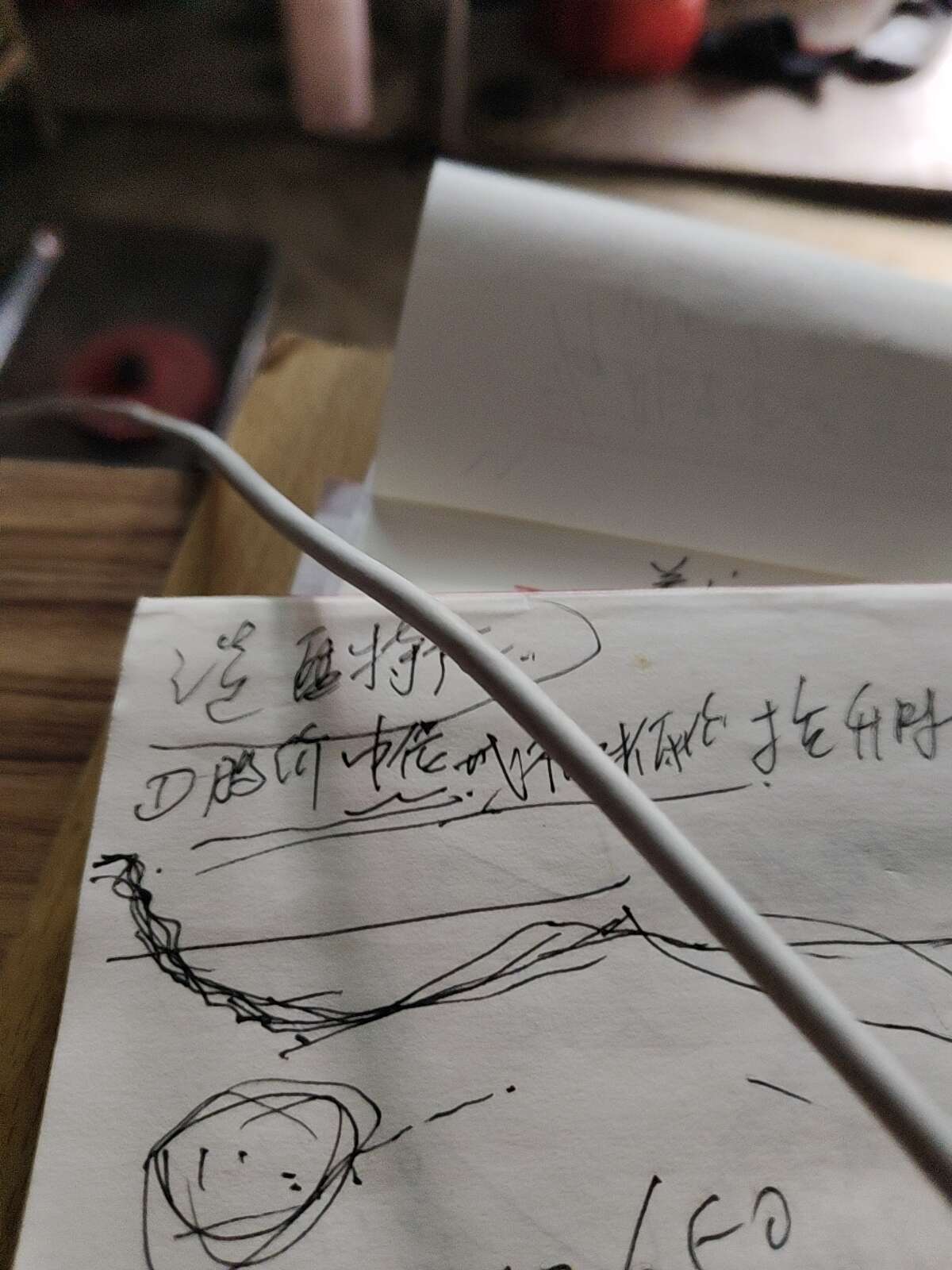 重慶秀山吉坪溝土雞蛋