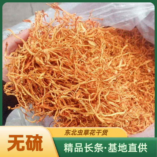 东北虫草花干货无硫农家新货手选精品食用菌煲汤食材批发产地直供