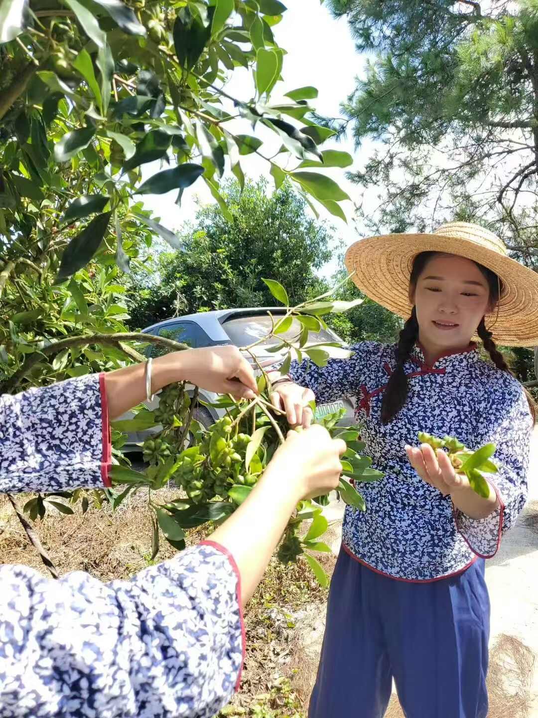 天津華臻農(nóng)業(yè)科技有限公司