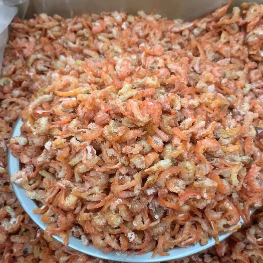 湛江金钩海A1红虾米