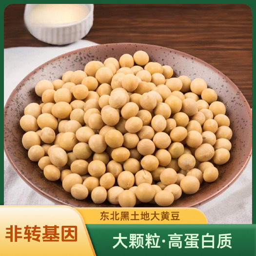 沈阳【东升一号】东北大豆黑龙江农家优质大黄豆高蛋白非转基因色选豆