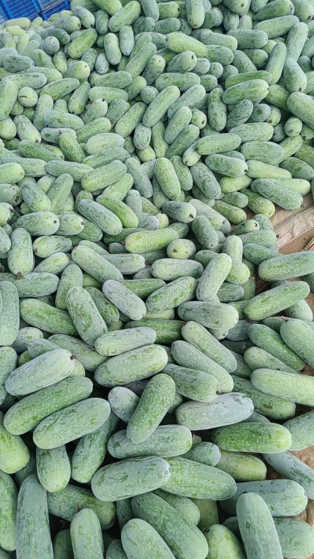 朱清才的店