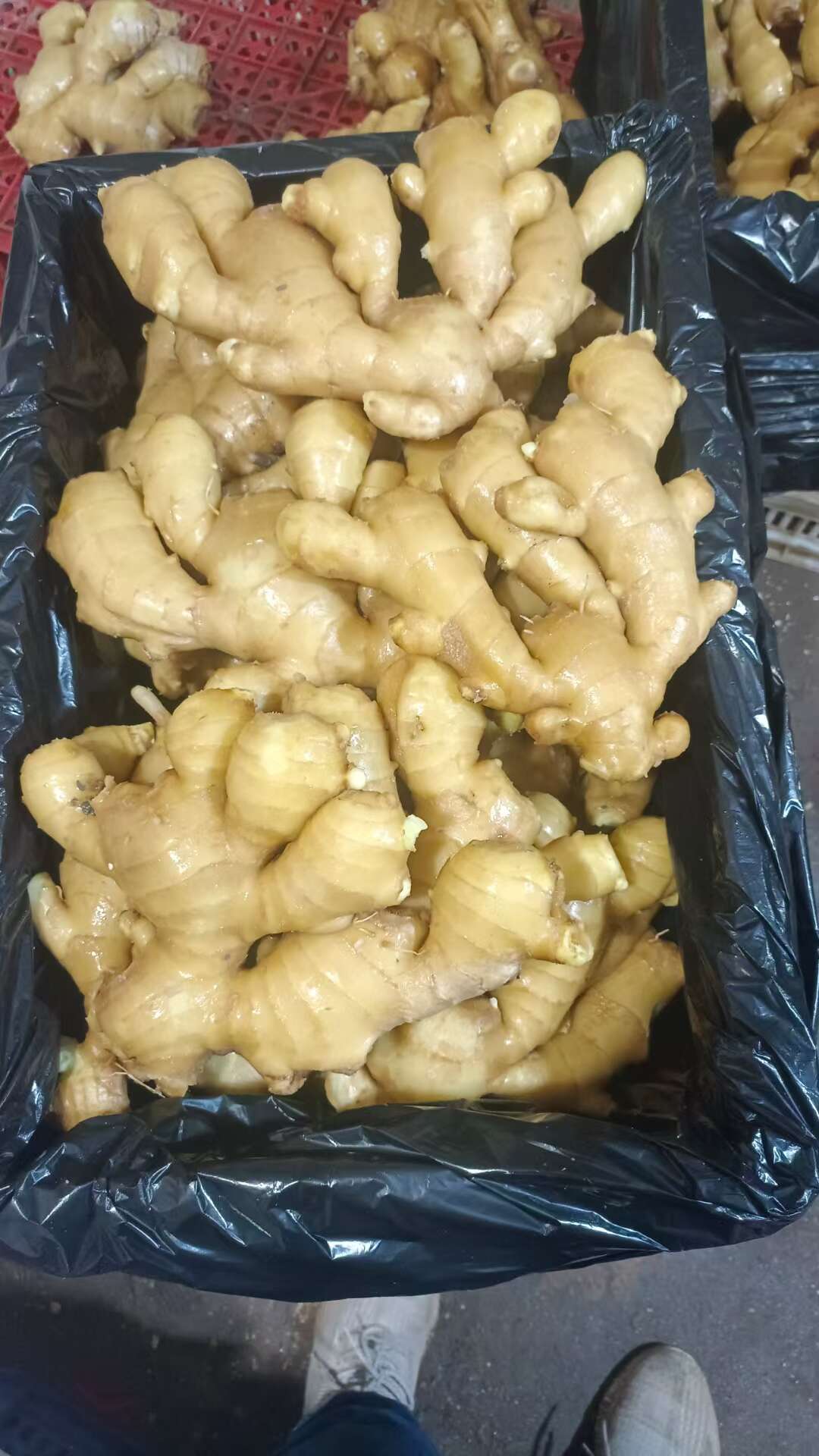 山东优质大黄姜，产地一手货源，保质保量支持全国发。