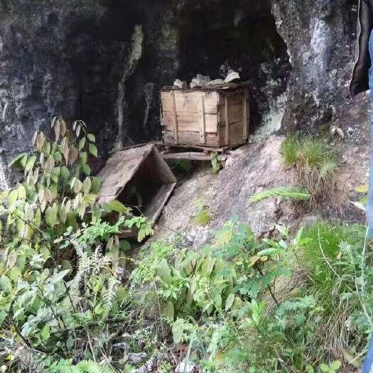 凤凰县湘西海拔800米的土蜂蜜，一年一取的，大概几百斤，量大优惠