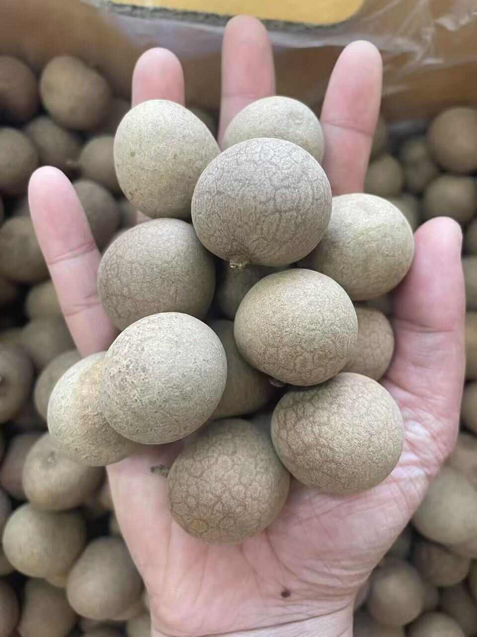 榮隆干鮮農產品批發(fā)