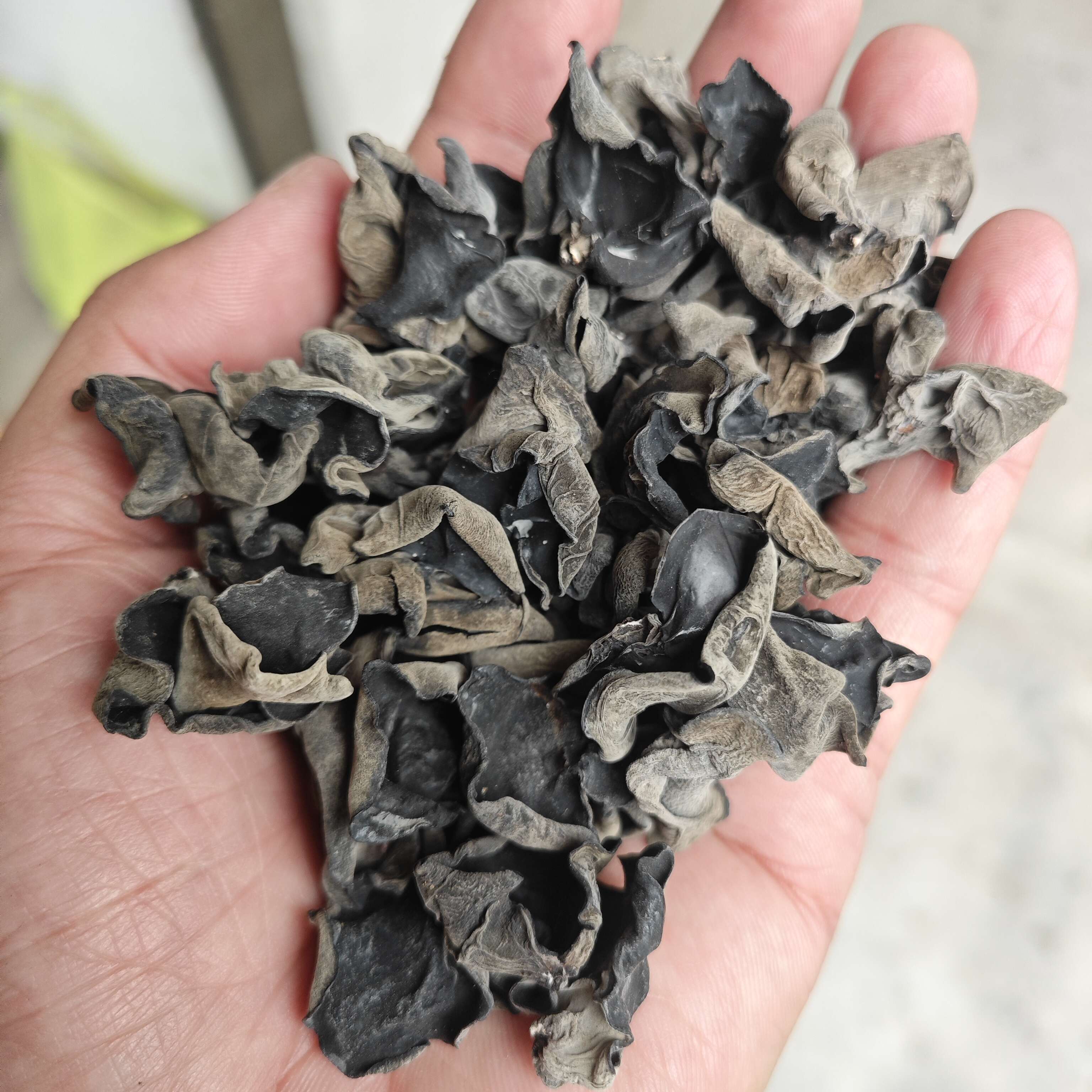 高泡发无增重 东北黑木耳干货批发 秋耳小碗耳商超餐饮电商摆摊