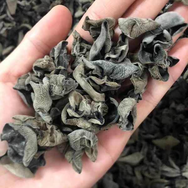 鲁山县黑厚秋耳无增重 高泡发率12 东北黑木耳干货 商超饭店小碗耳