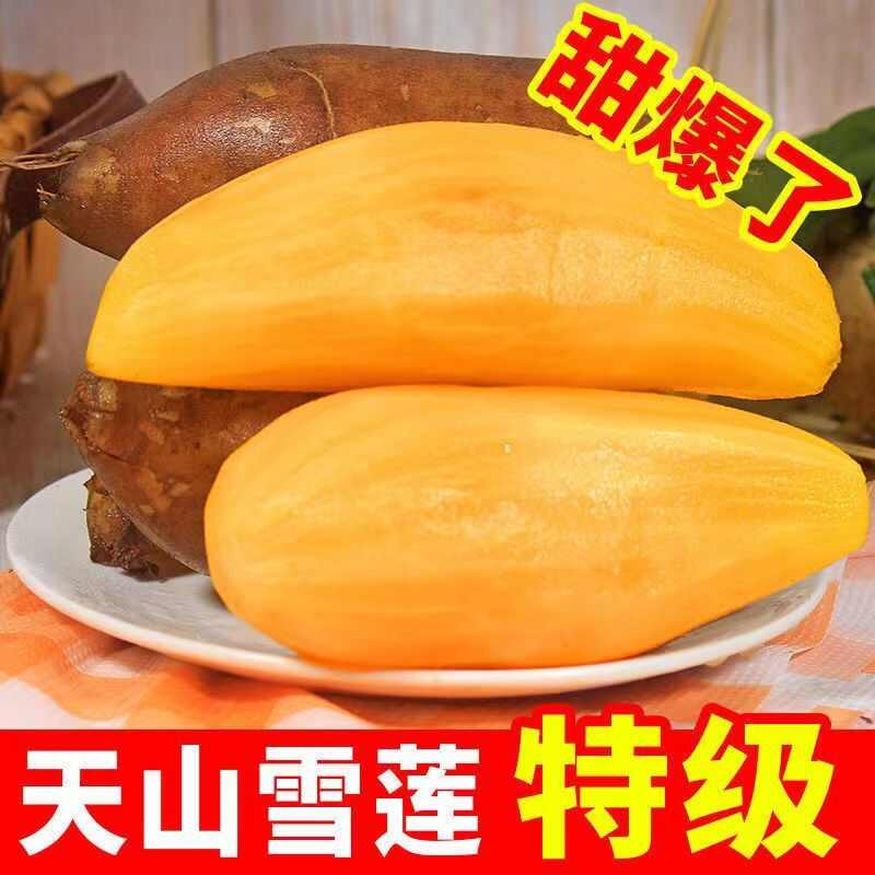 云南雪莲果黄心新鲜根茎蔬菜产地直发10斤批发价一整箱包邮