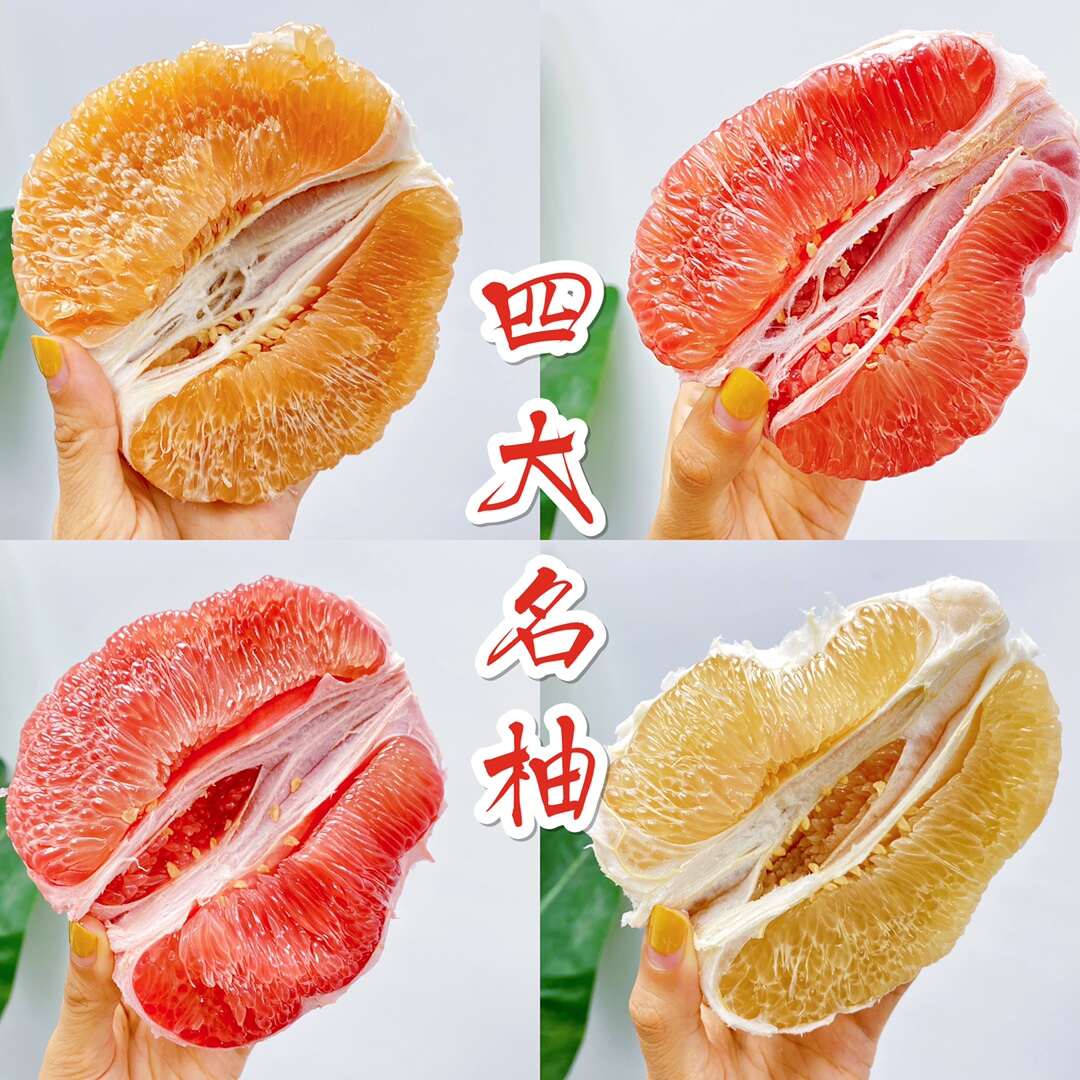 福建琯溪蜜柚四大名柚，