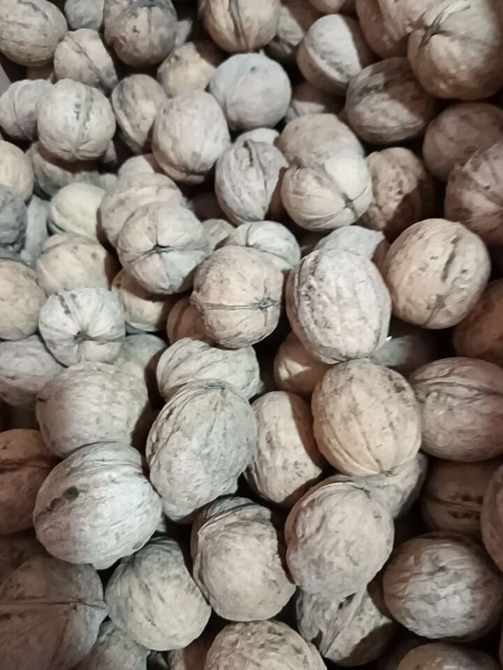 新疆185纸皮核桃，皮薄肉厚，仁白营养佳。